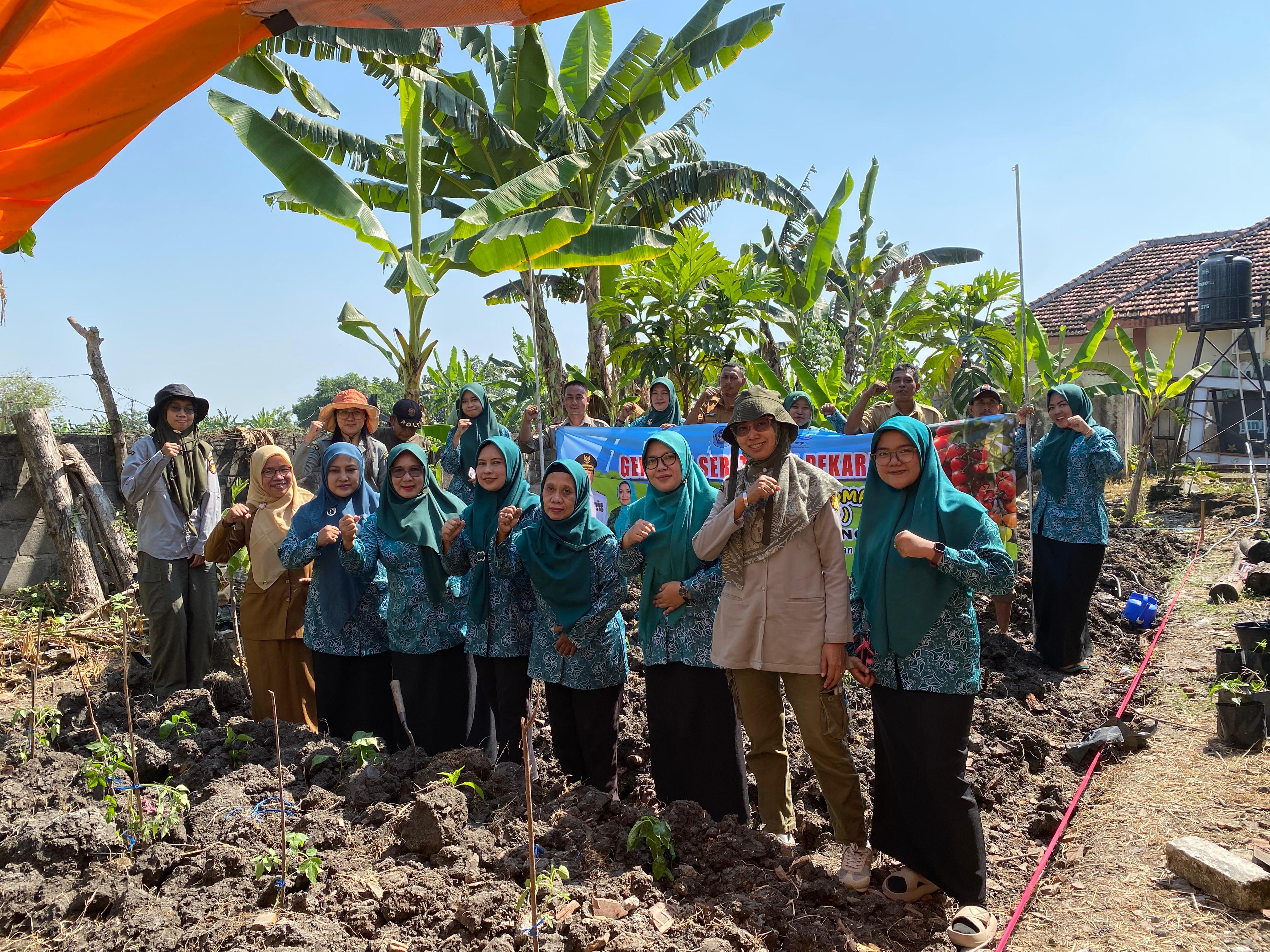 GAS PAK CAMAT, Kecamatan Turi Gelar Gerakan Serentak Tanam Cabai dan Tomat di Pekarangan