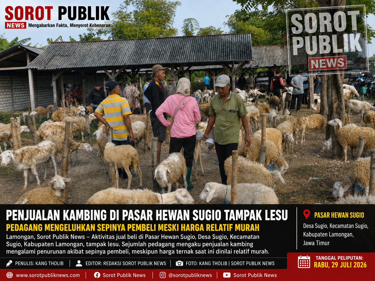 Penjualan Kambing di Pasar Hewan Sugio Lesu, Pedagang Keluhkan Minimnya Pembeli